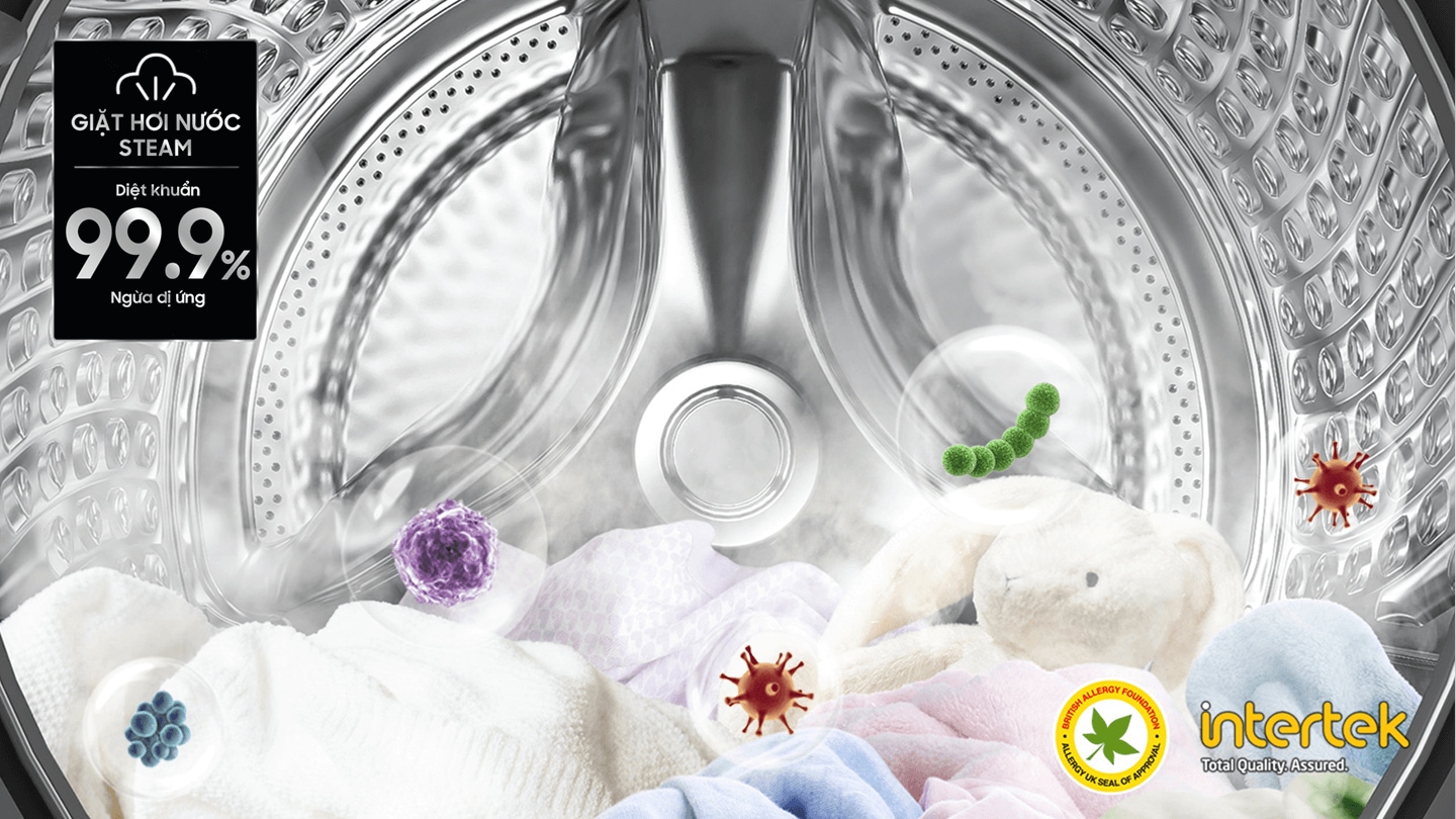 Giặt Hơi Nước Diệt Khuẩn Hygiene Steam